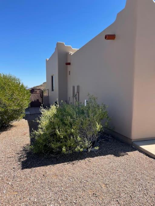 Tucson Mnt Foothills Saguaro Bliss Villa Kültér fotó