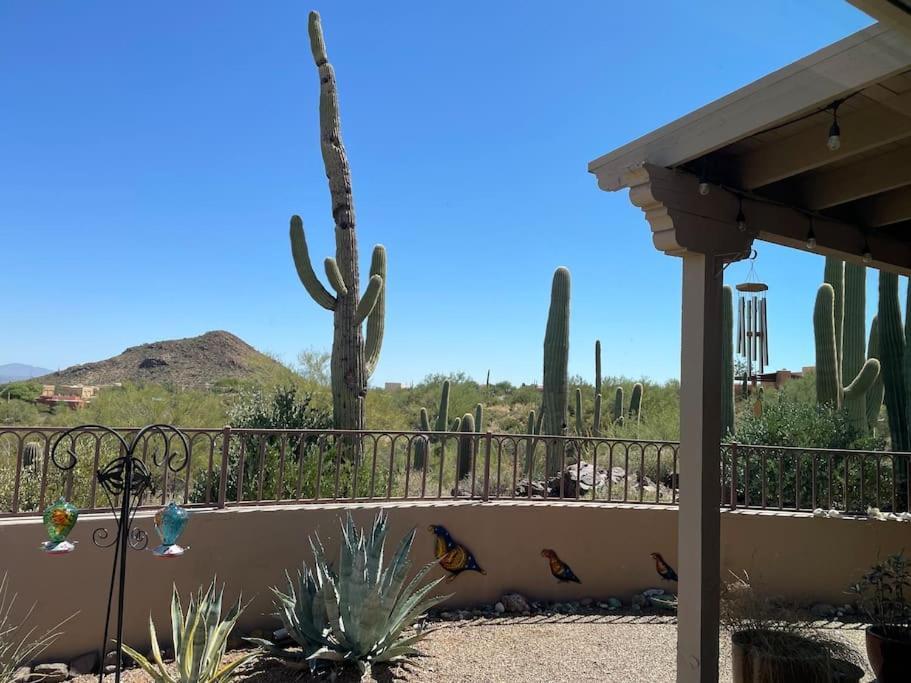 Tucson Mnt Foothills Saguaro Bliss Villa Kültér fotó