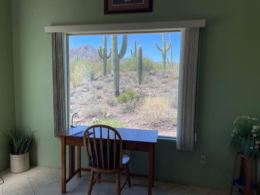 Tucson Mnt Foothills Saguaro Bliss Villa Kültér fotó