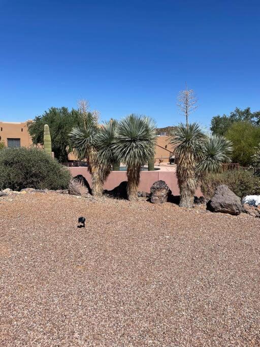 Tucson Mnt Foothills Saguaro Bliss Villa Kültér fotó