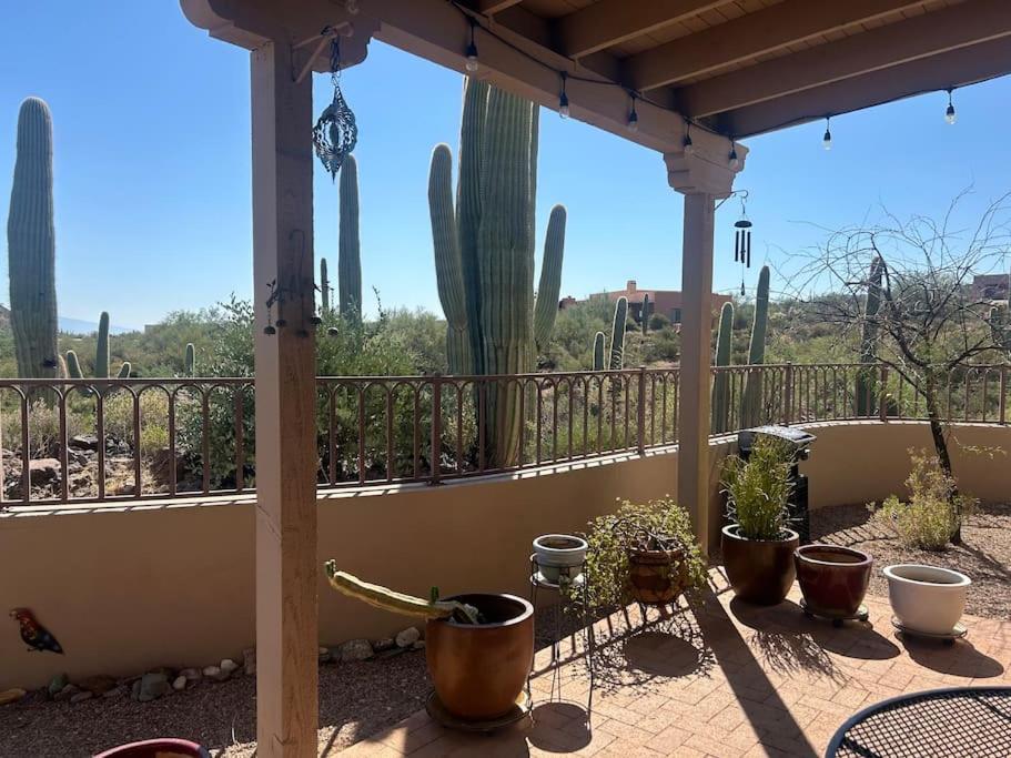 Tucson Mnt Foothills Saguaro Bliss Villa Kültér fotó